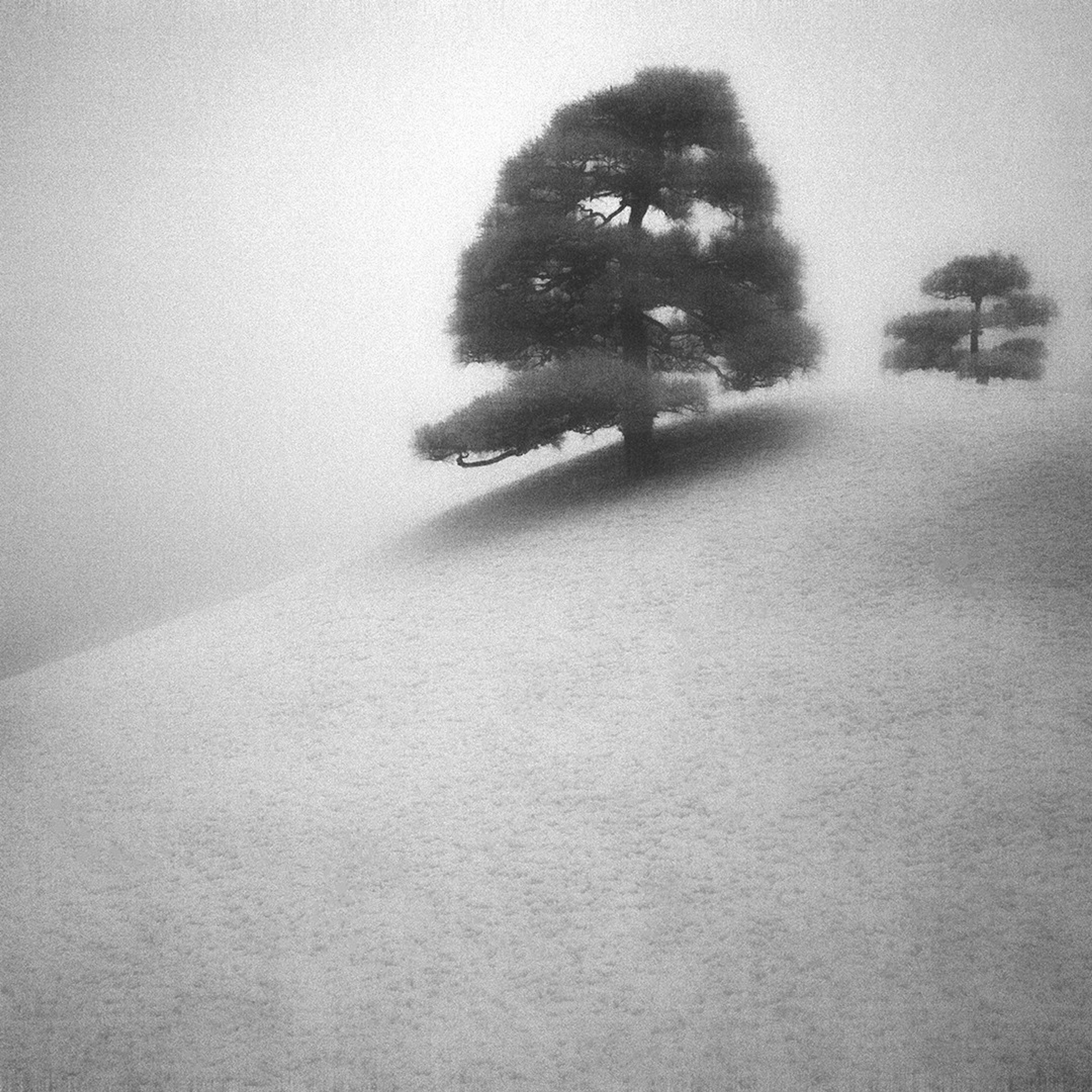 Beyond what you see #14