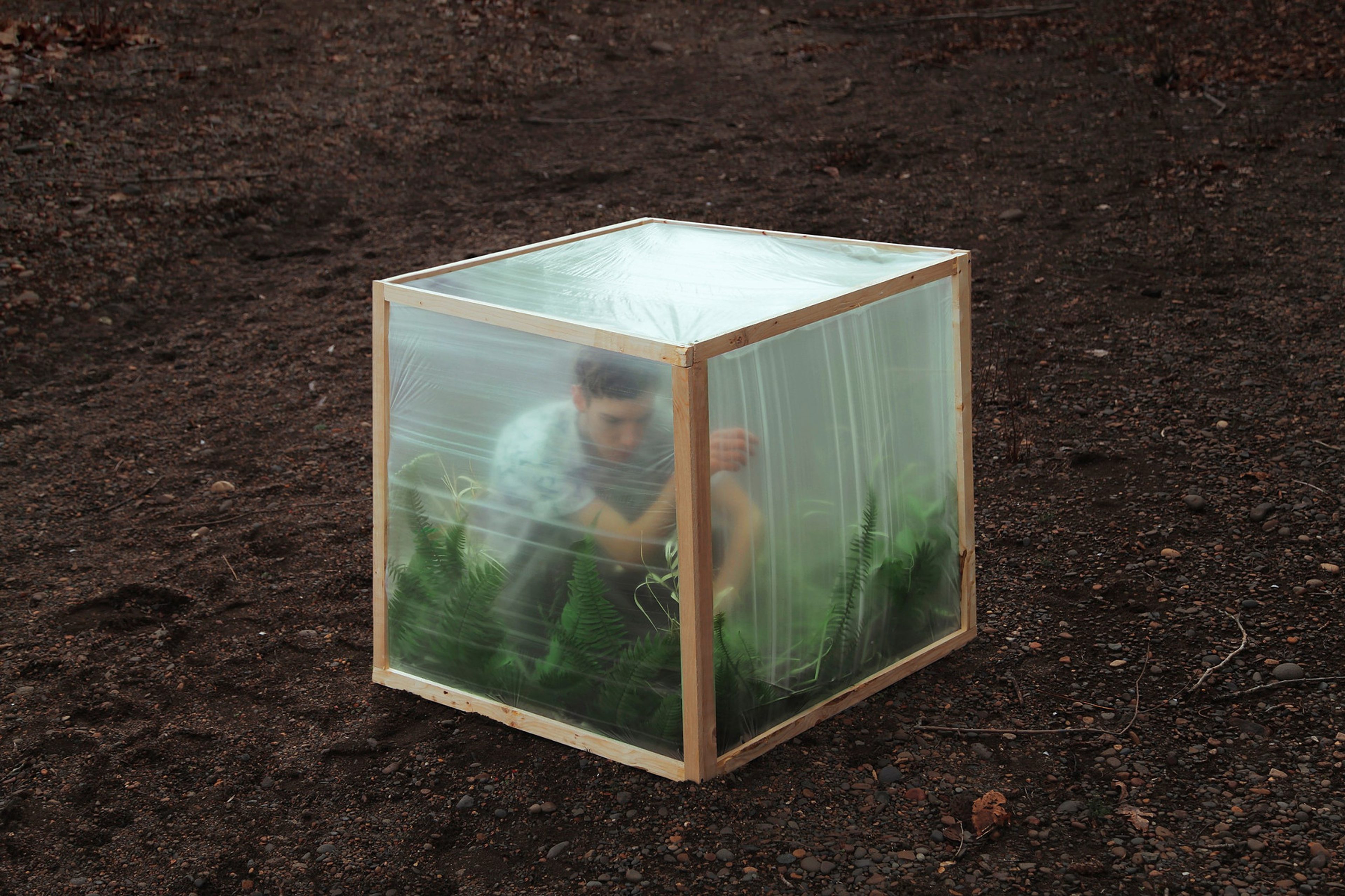 Greenhouse