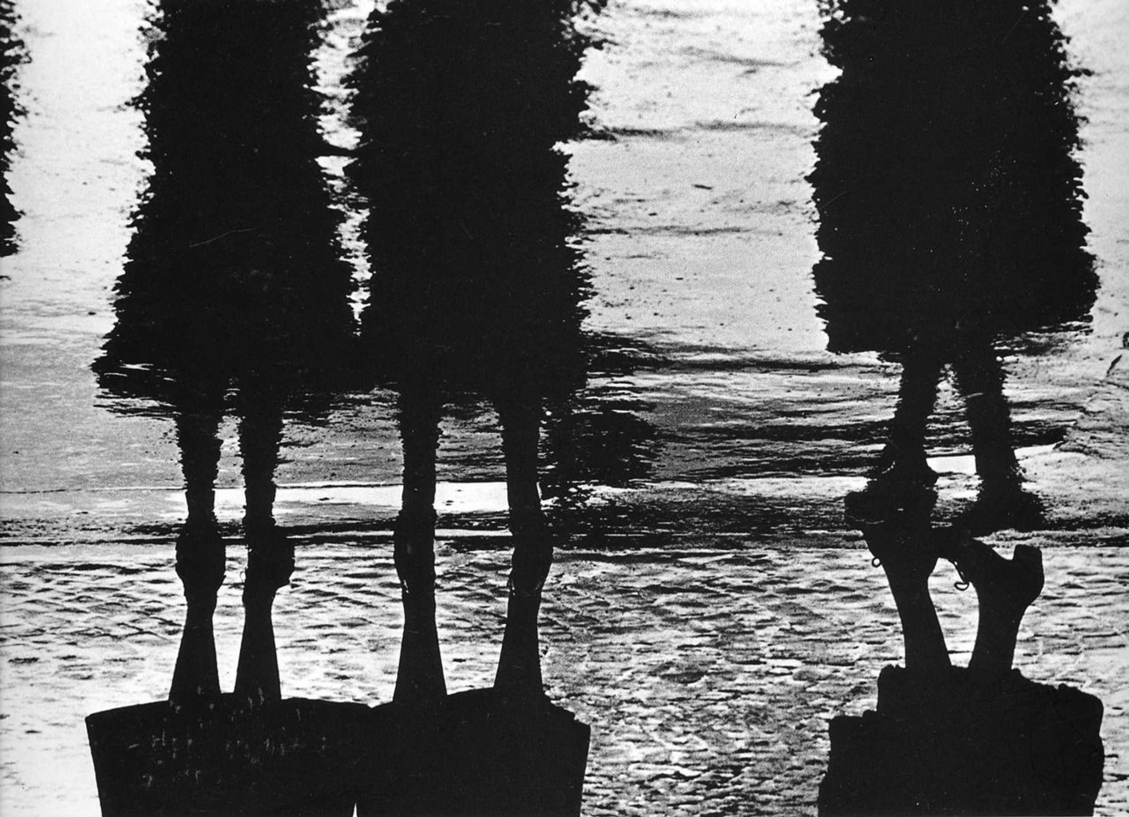 Reflection of Women's Dresses