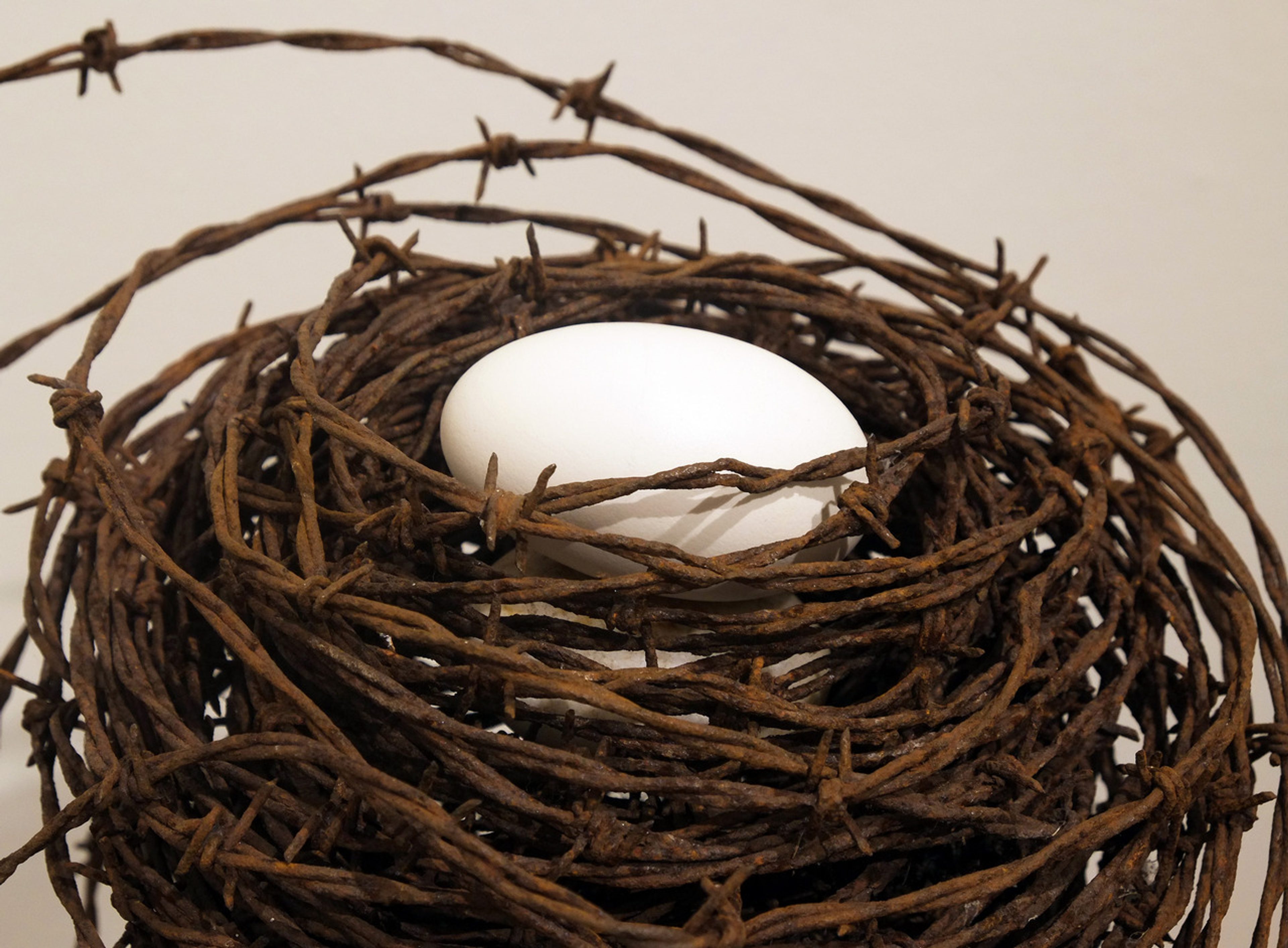 The Nest (Detail)