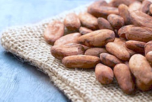 Cocoa market illustration — source businessincameroon.com