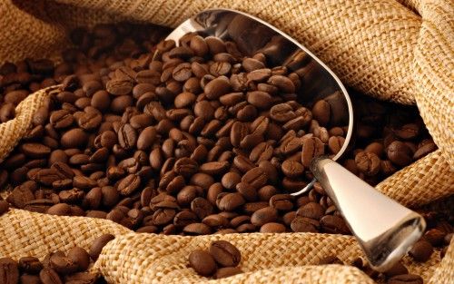 Illustration marché cacao — source businessincameroon.com