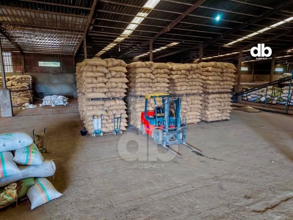 Industrial visit / cocoa — Facebook source