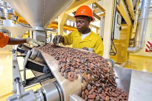 Illustration marché cacao — source businessincameroon.com