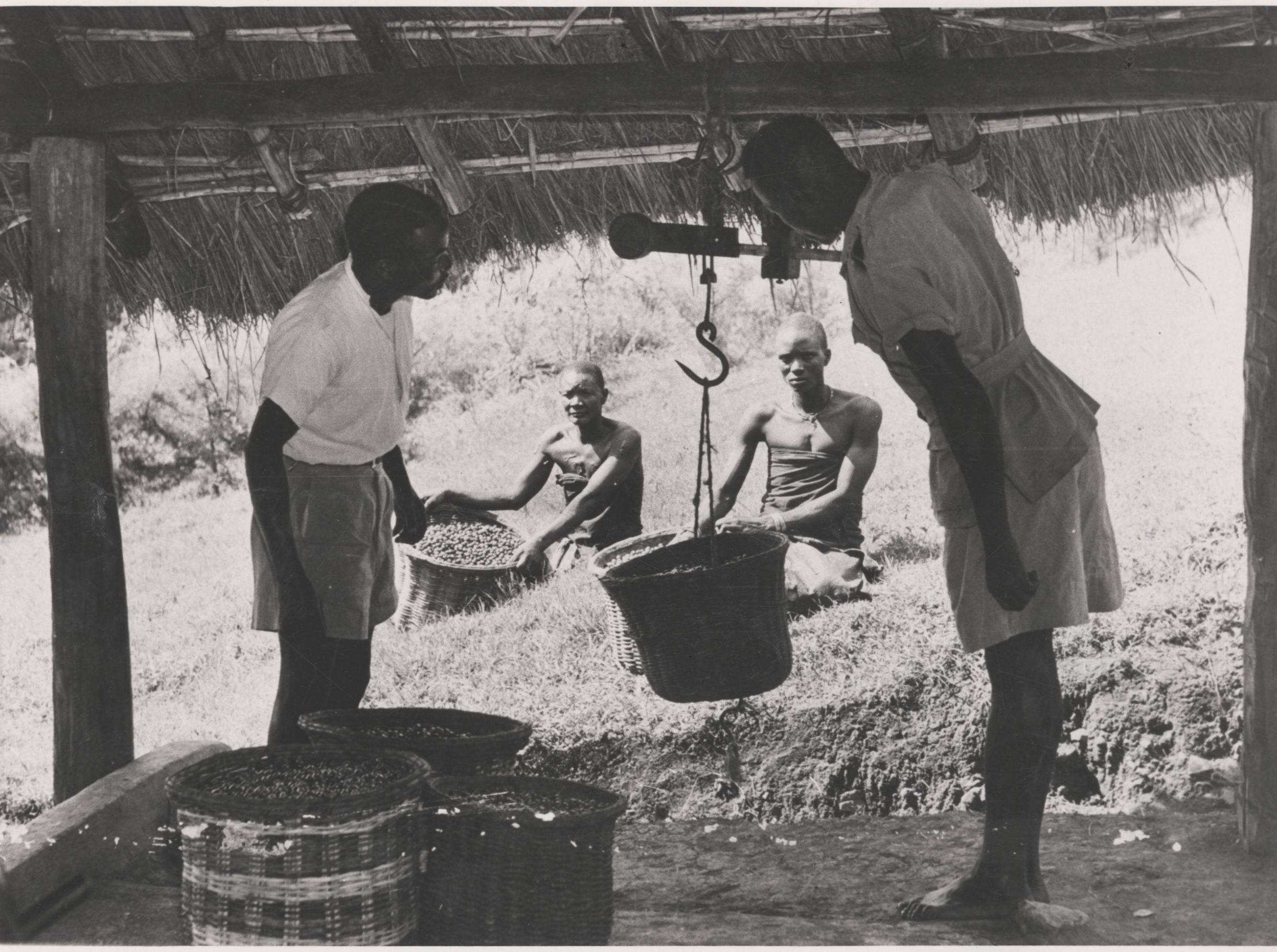 Photo éditoriale cacao/café — Wikimedia Commons