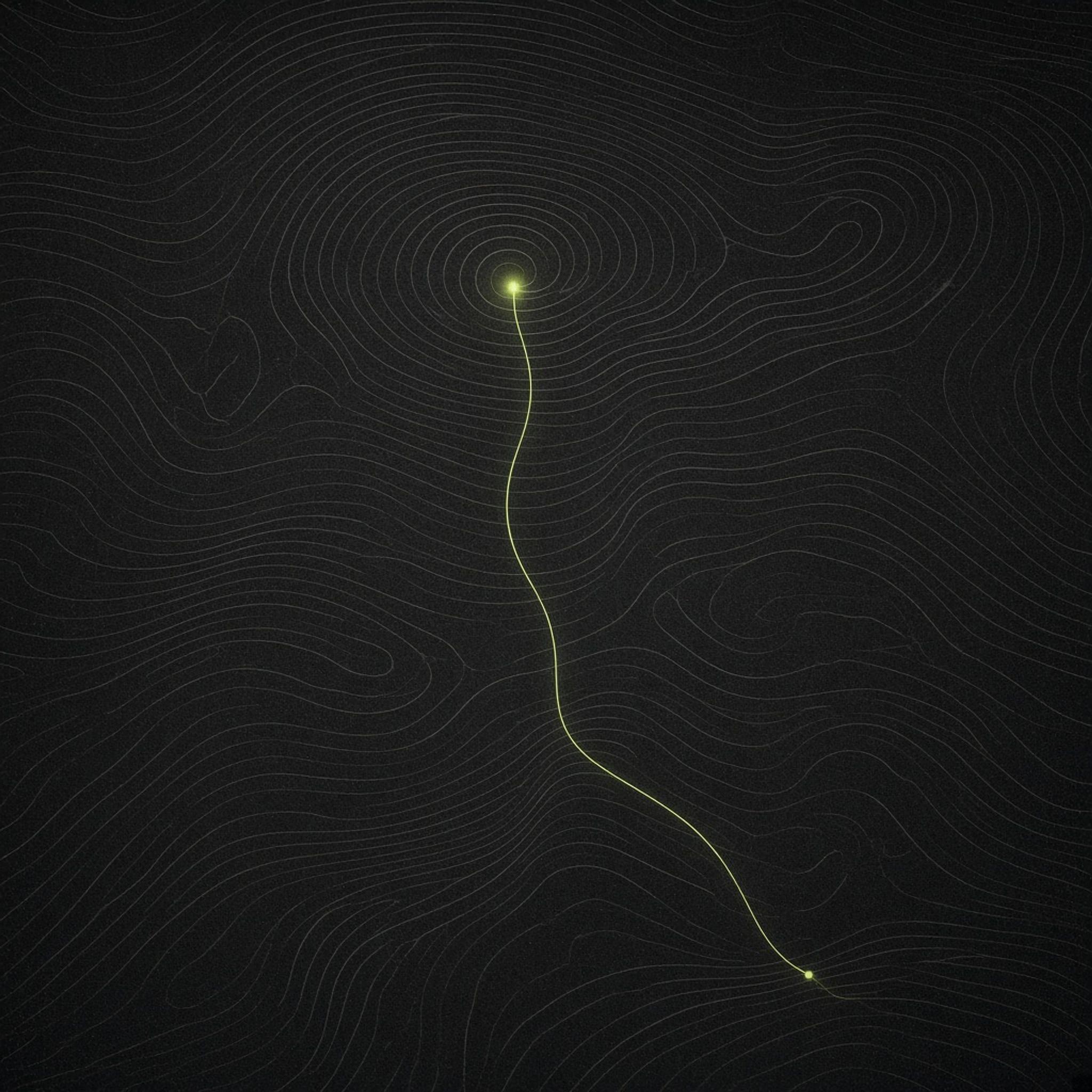 Abstract cover art: a charcoal contour field with one pale lime hairline running from a bright finding back to its single anchored source below.