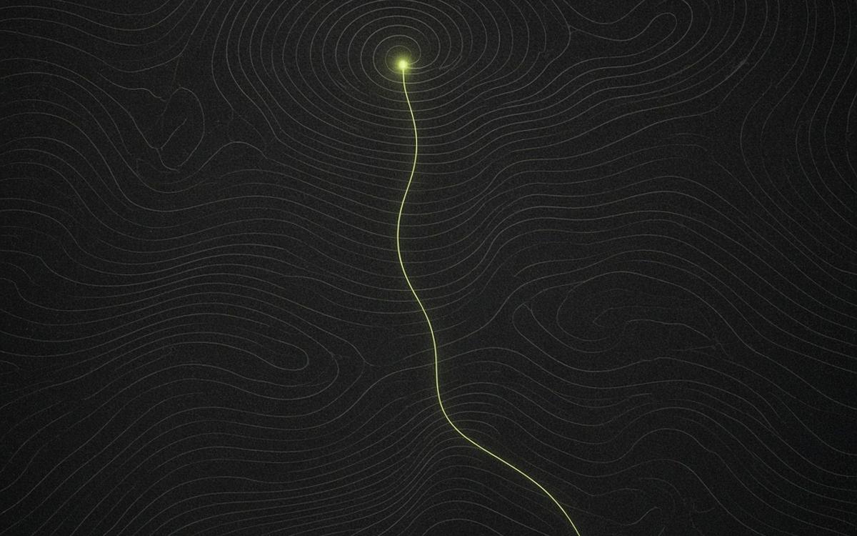 Abstract cover art: a charcoal contour field with one pale lime hairline running from a bright finding back to its single anchored source below.