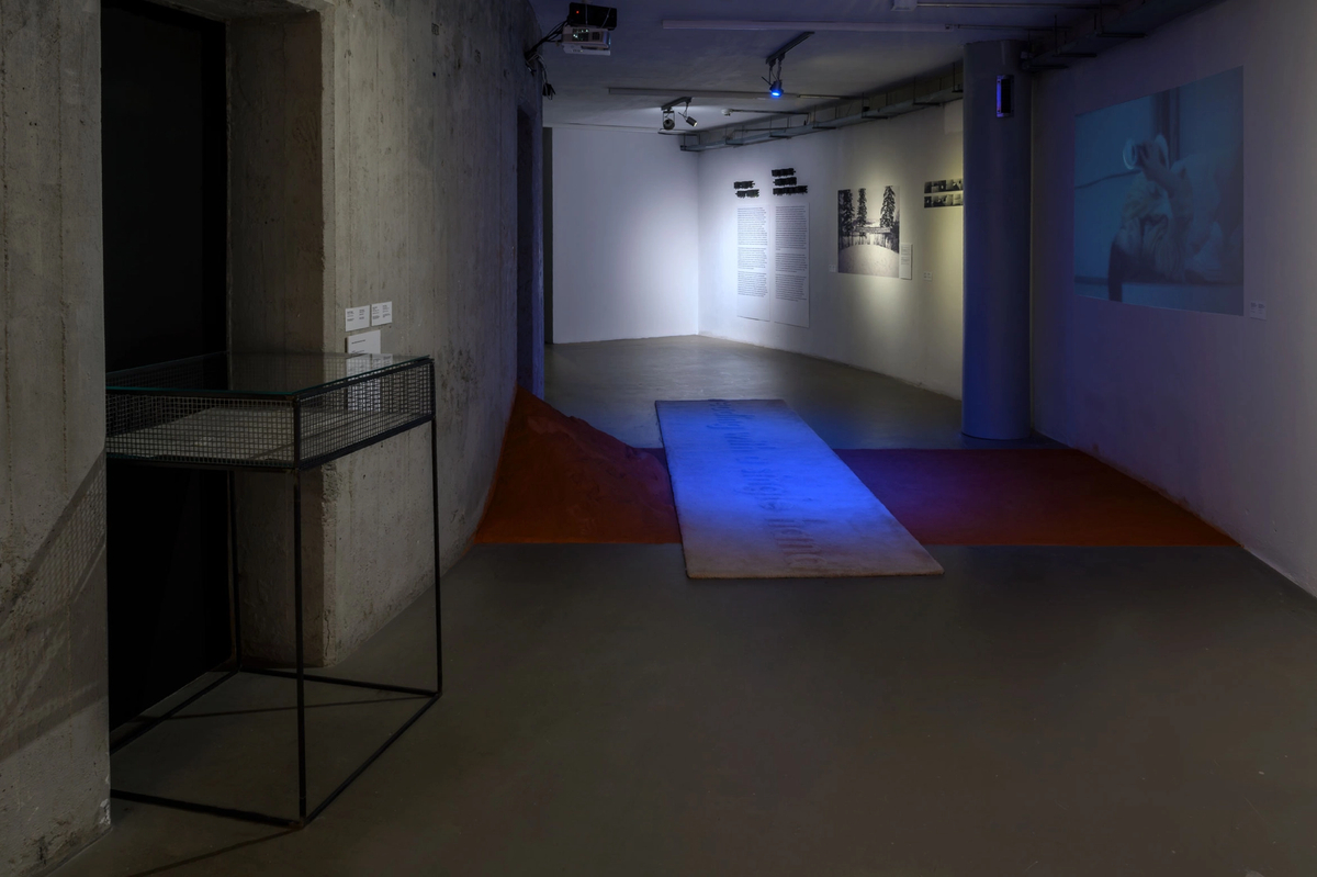 Dorota Gawęda and Eglė Kulbokaitė, YGRG 14X, 2018

Video installation, dimensions variable.

Photograph by Małgorzata Kujda © Wrocław Contemporary Museum 2020