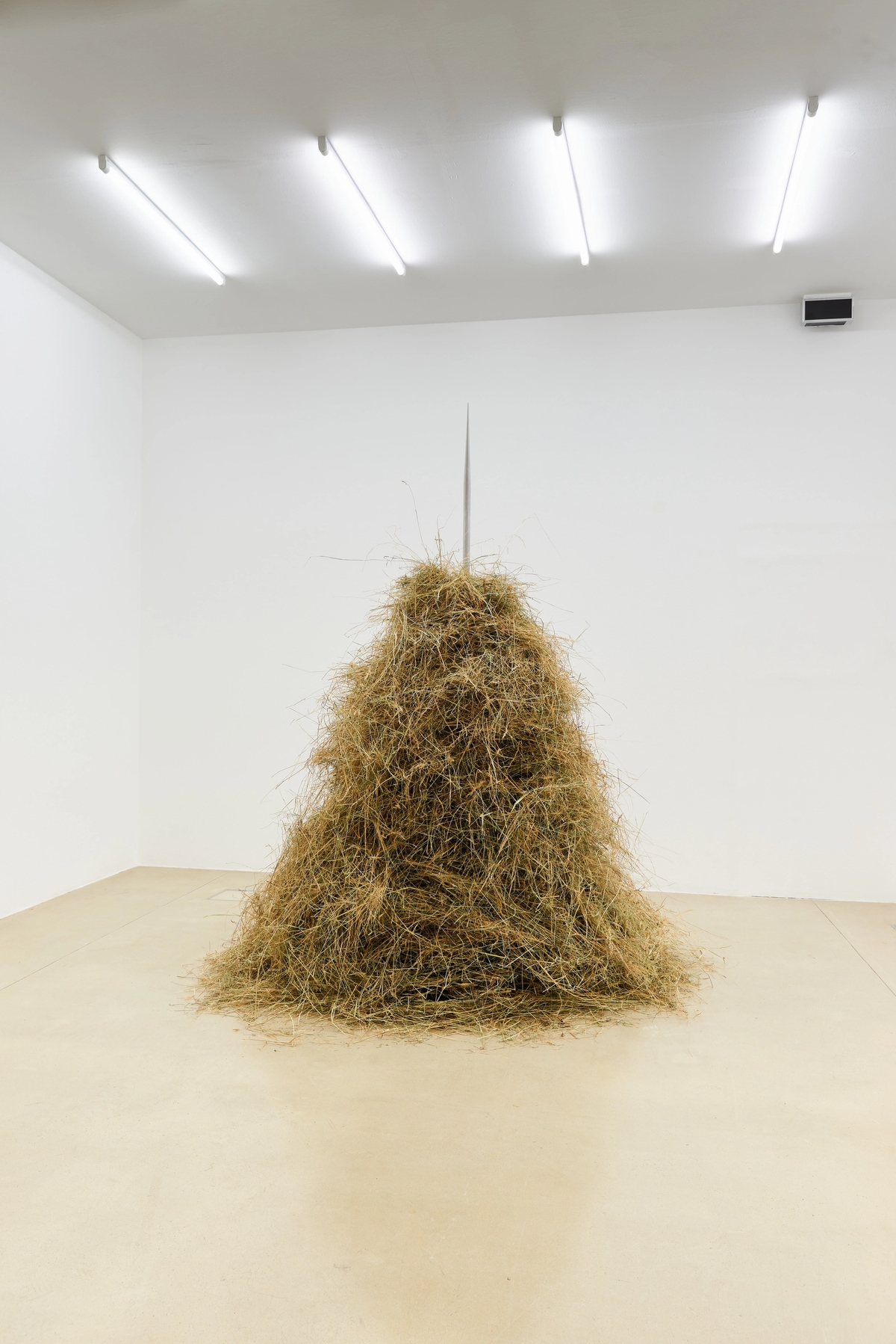 Hexanol (IV), 2019

Aluminium, steel, hay.

Photo: Markus Gradwohl.