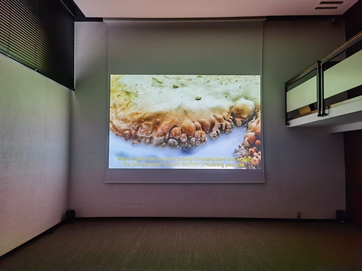 Dorota Gawęda & Eglė Kulbokaitė: YGRG14X: reading with a single hand, 2018, single channel video (30:00 min). 