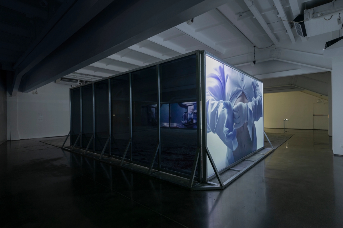 Spit and Image, installation view, MACA, 2025. Photo: Yang Hao