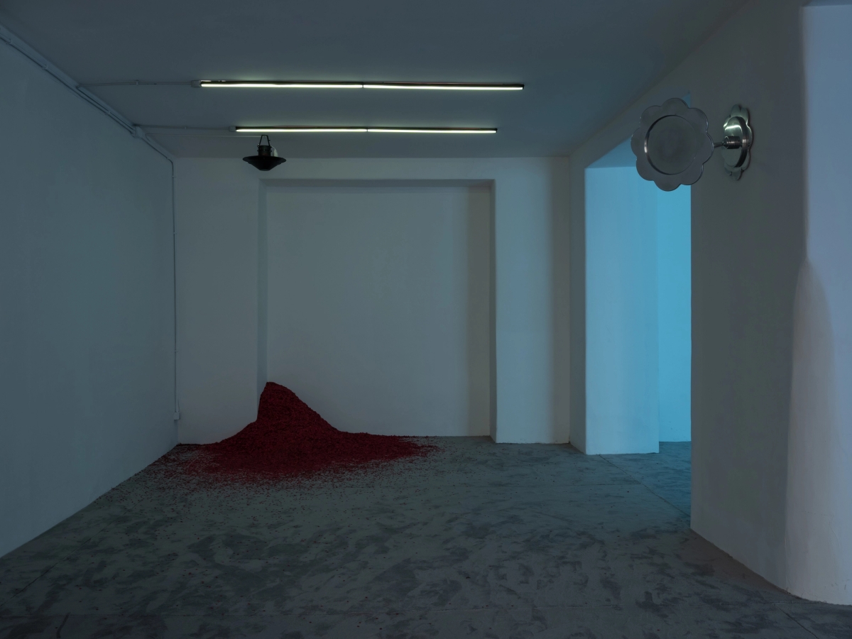 SPIT AND IMAGE, solo exhibition