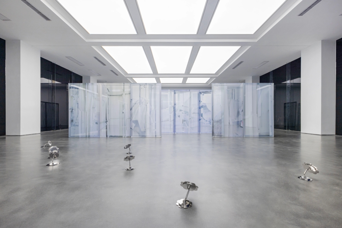 Spit and Image, installation view, MACA, 2025. Photo: Yang Hao