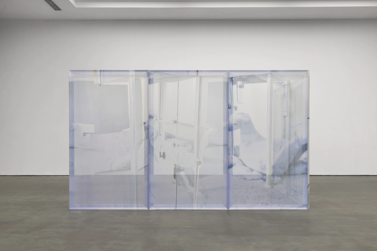  Enclosure (The Double Dream of Spring) (I-XXVIII), 2025, aluminum frame, digital prints on textile, acrylic, 220×125×3.8 cm each, 28 in total.  Photo: Yang Hao