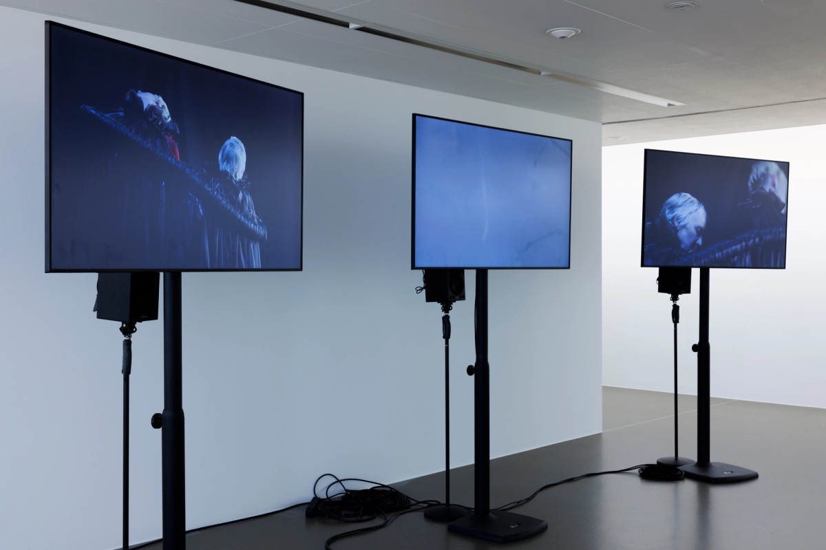 Death by Landscape - solo exhibition