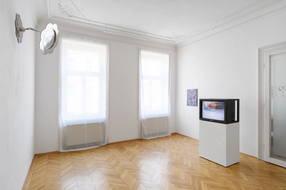 It’s Supposed to be Simple, But I’m Not (Curated by)