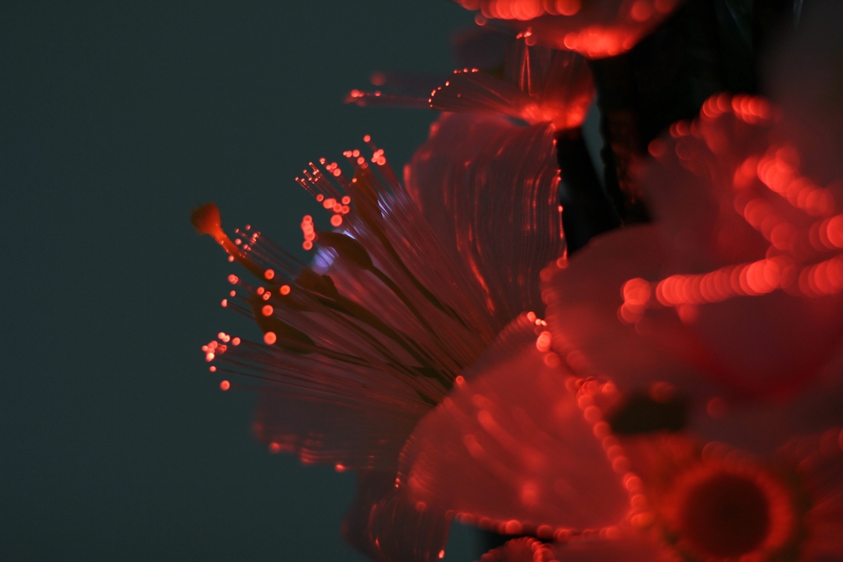 Votive Flowers (I–III), 2022

 Stainless steel, LED flowers (detail).