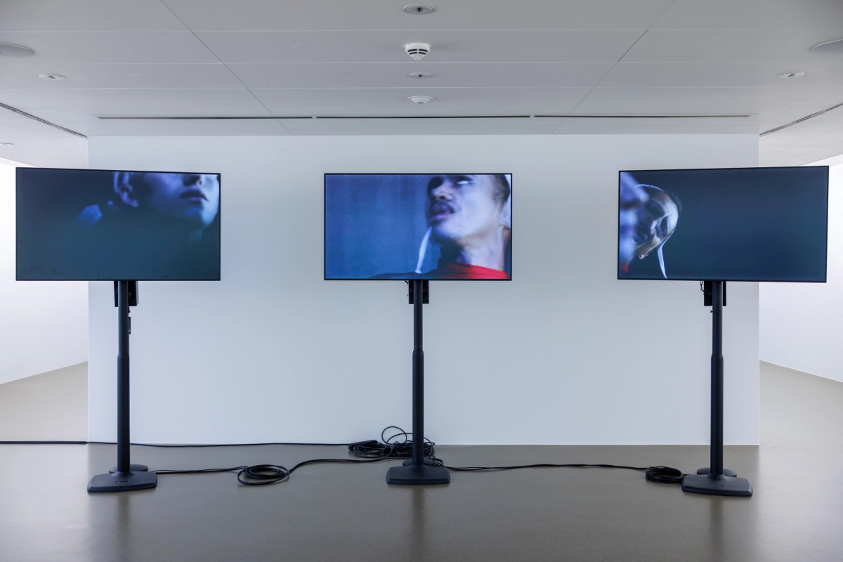 Death by Landscape - solo exhibition
