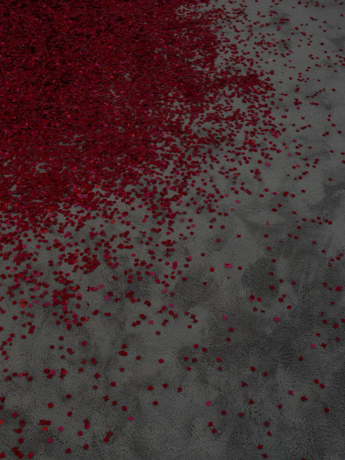 SPIT AND IMAGE, solo exhibition