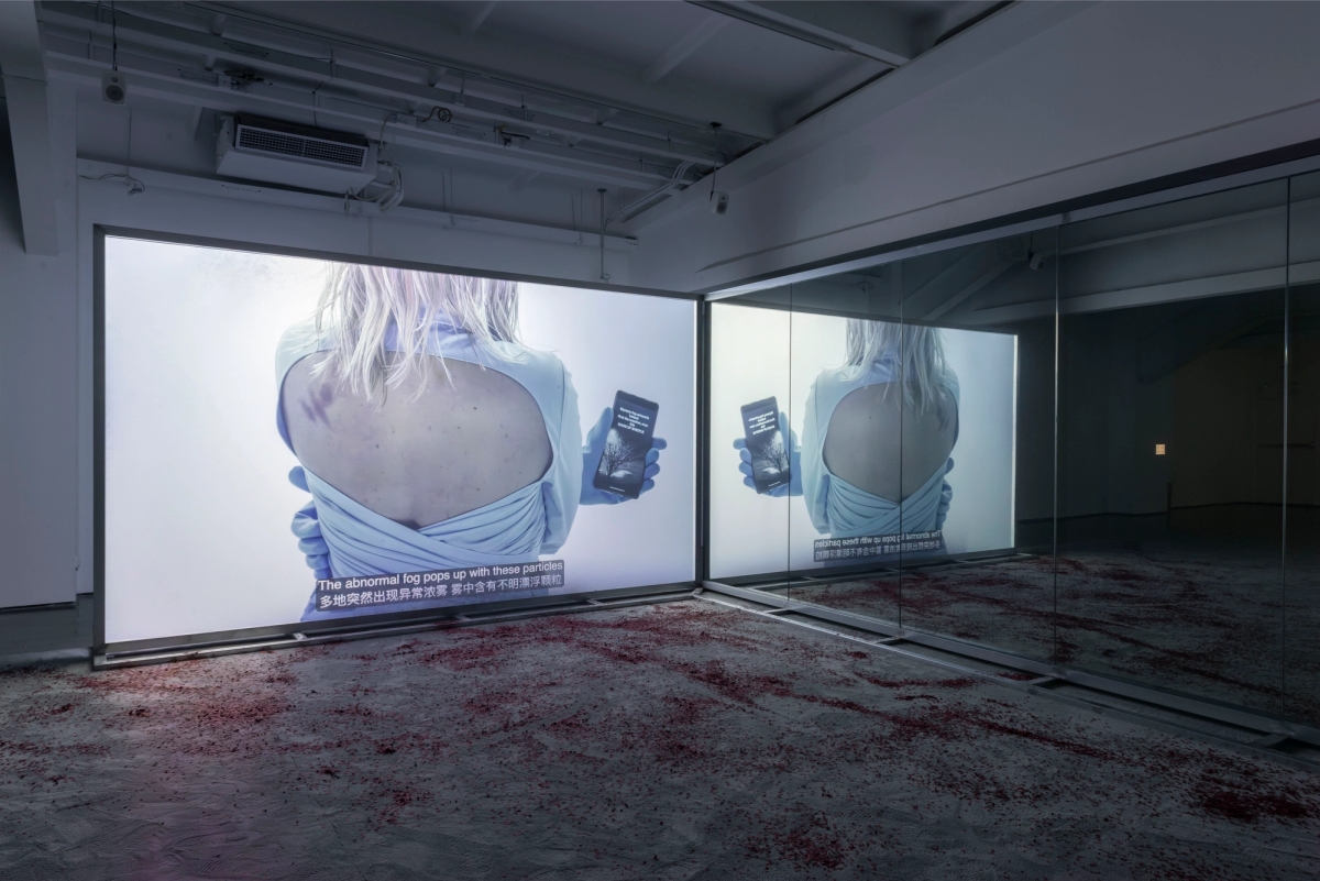 Spit and Image 2, 2025. 4K single-channel video, color, sound, 15 min. Installation view, MACA, 2025. Photo: Yang Hao