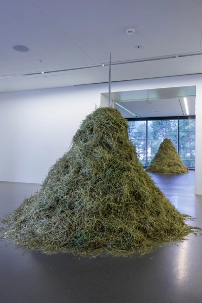 Death by Landscape - solo exhibition