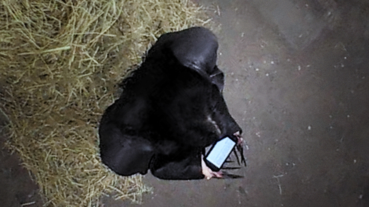 Mouthless Part I - Screening