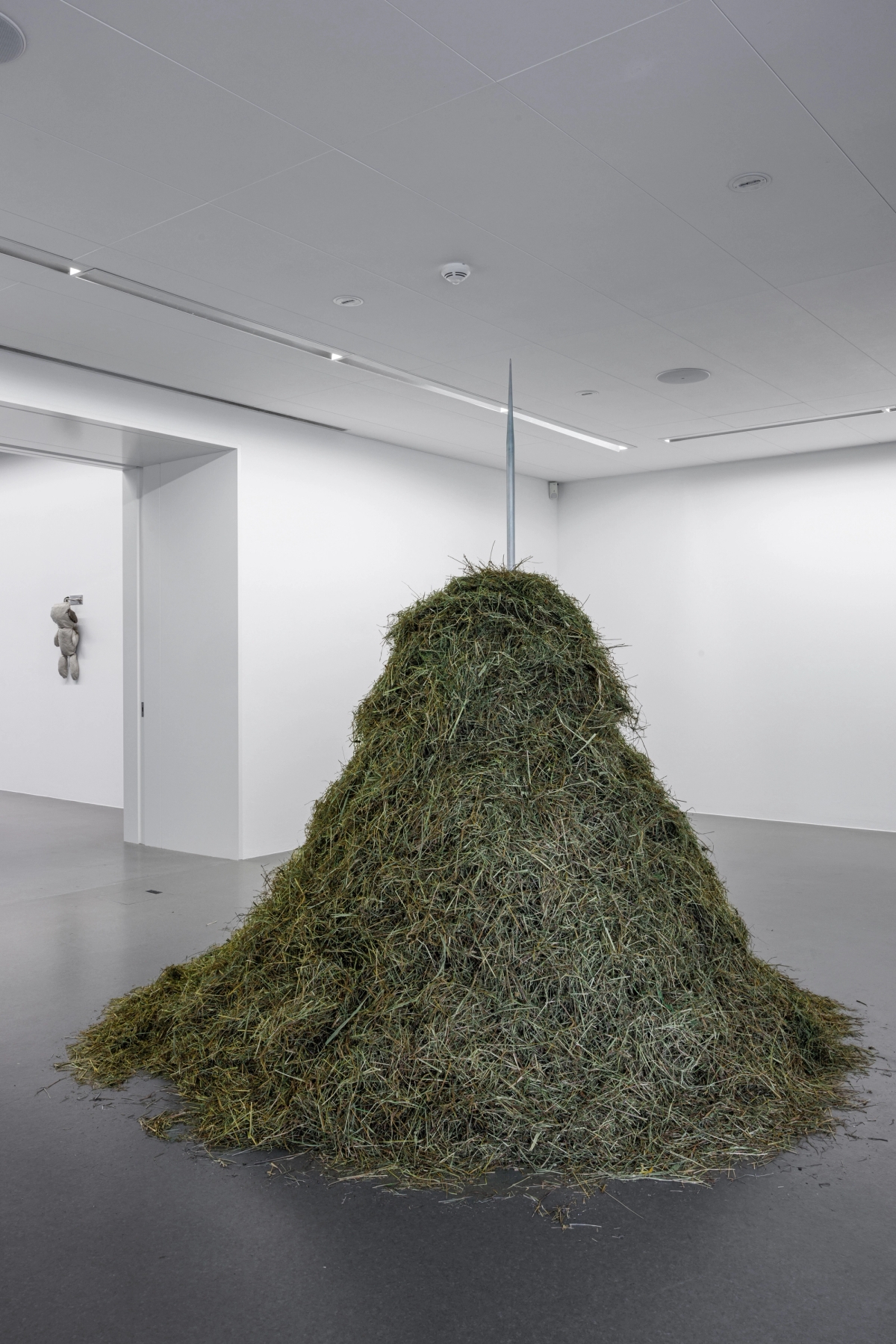 Death by Landscape - solo exhibition