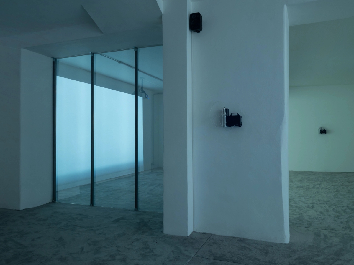 SPIT AND IMAGE, solo exhibition