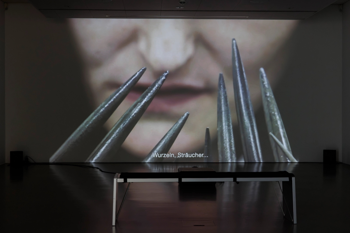 Death by Landscape - solo exhibition