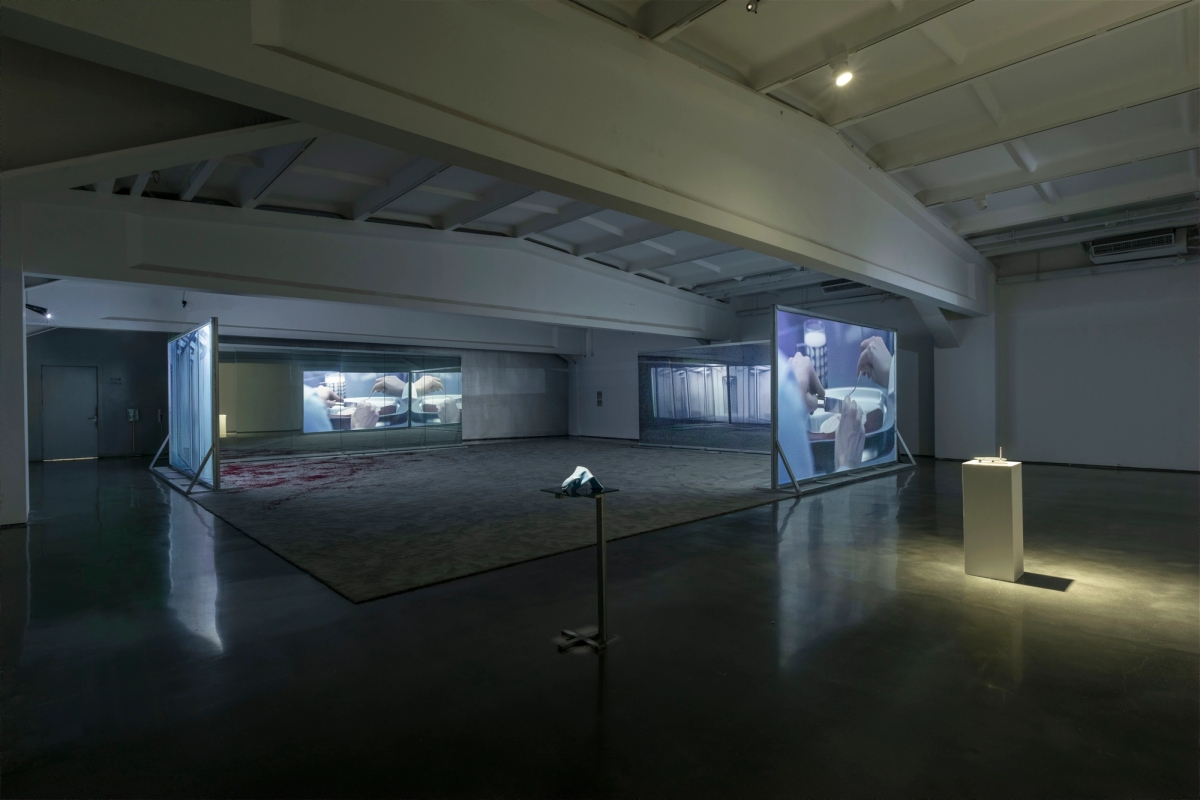 Spit and Image, installation view, MACA, 2025. Photo: Yang Hao