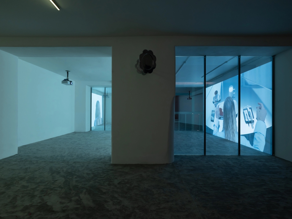 SPIT AND IMAGE, solo exhibition