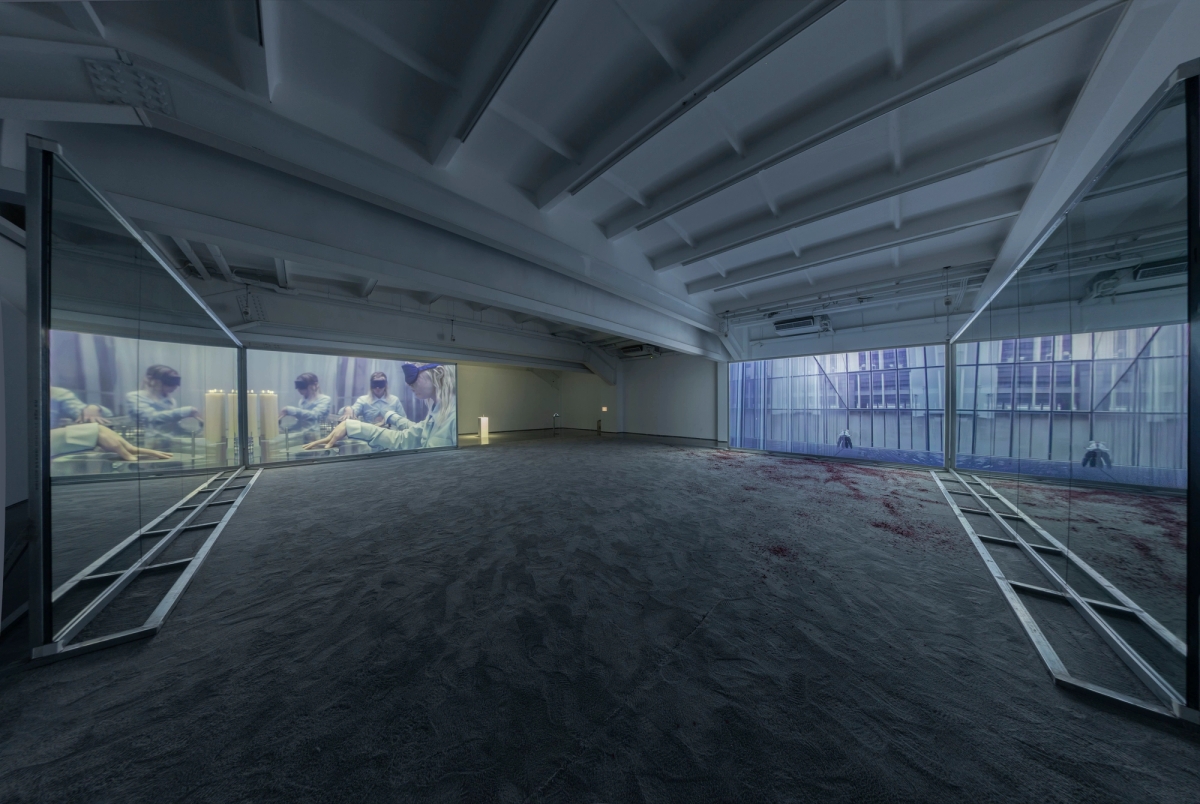 Spit and Image, installation view, MACA, 2025. Photo: Yang Hao