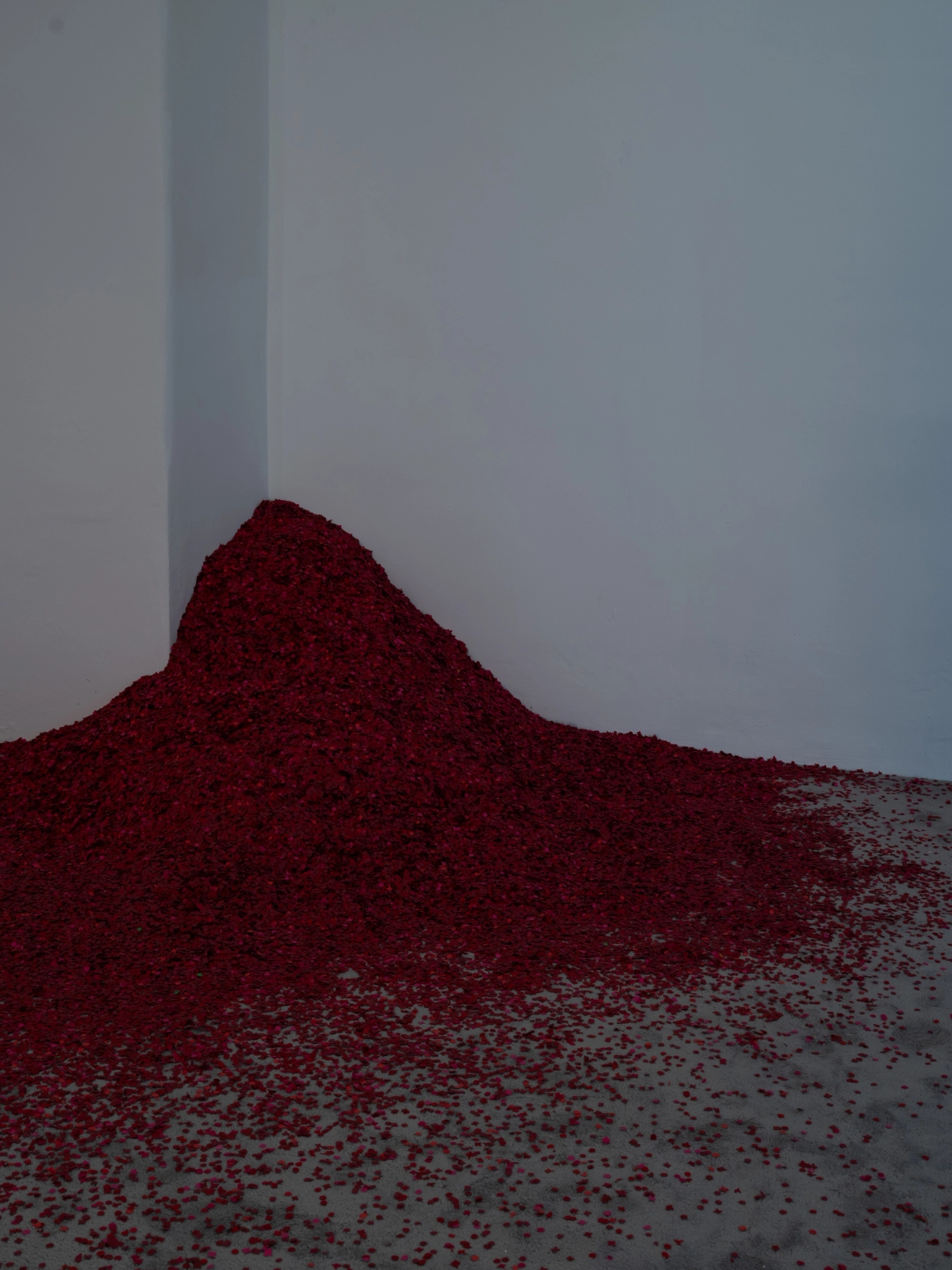 SPIT AND IMAGE, solo exhibition