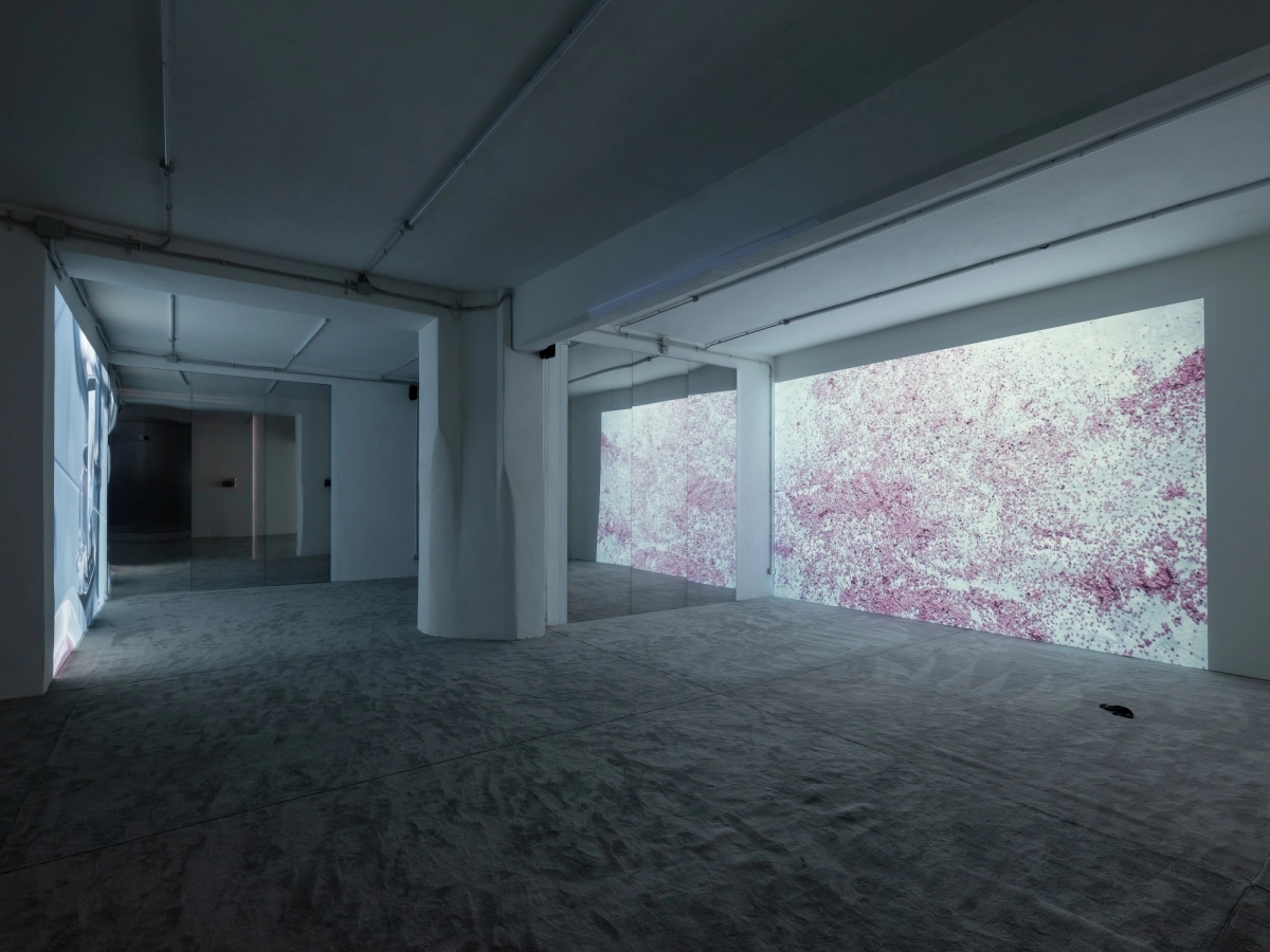 SPIT AND IMAGE, solo exhibition
