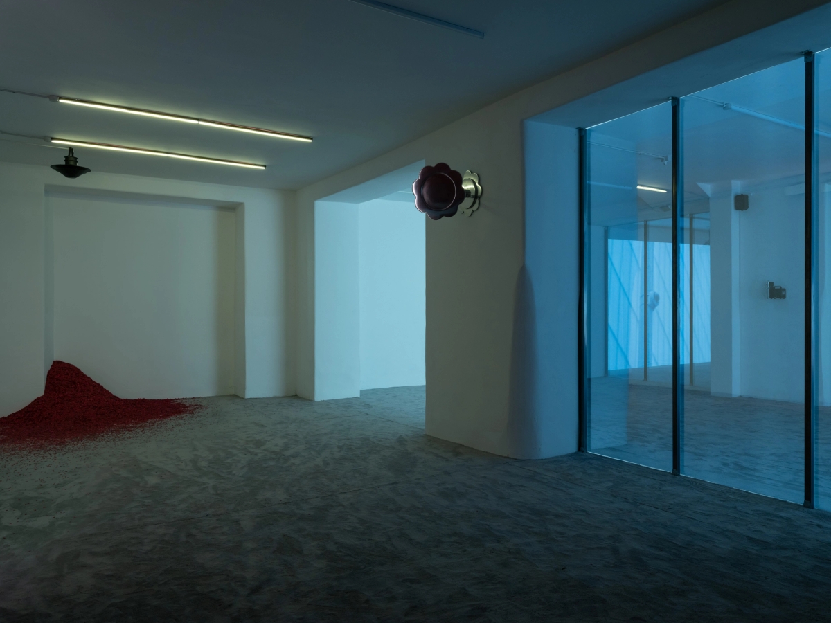 SPIT AND IMAGE, solo exhibition