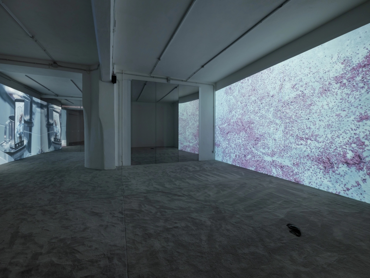 SPIT AND IMAGE, solo exhibition