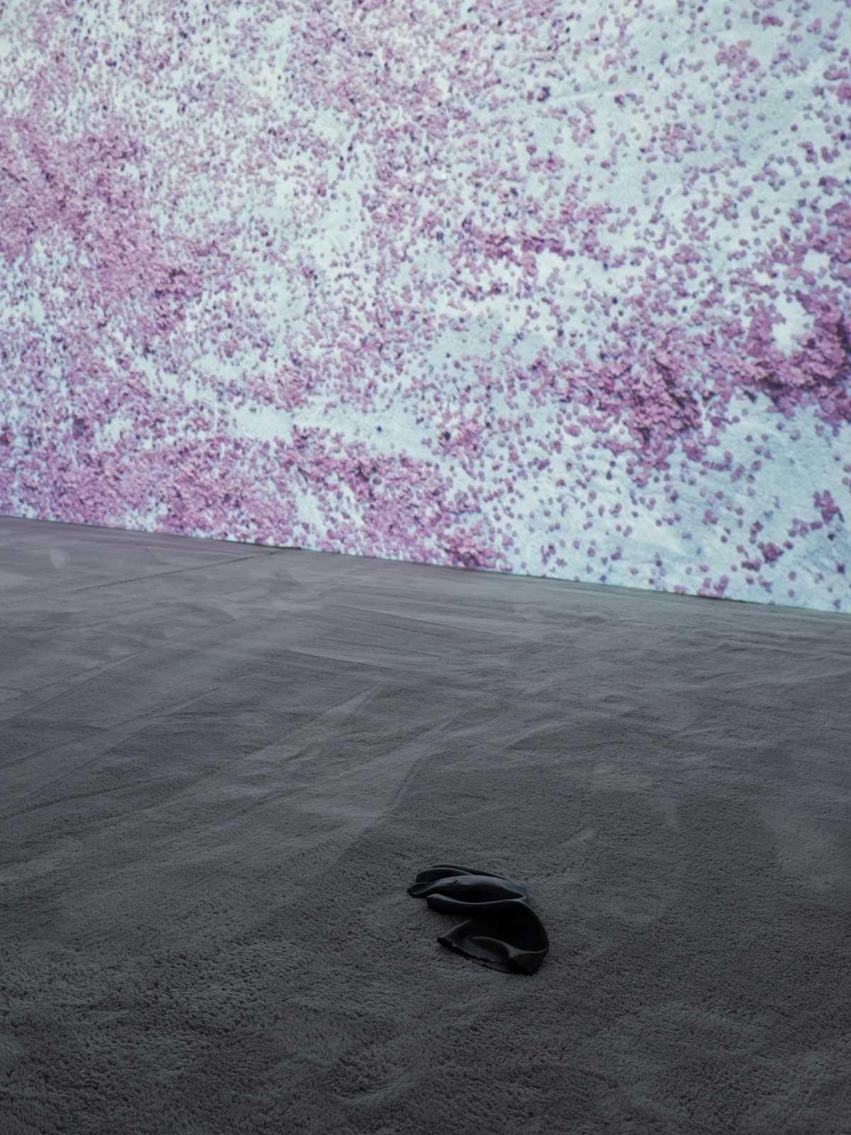 SPIT AND IMAGE, solo exhibition