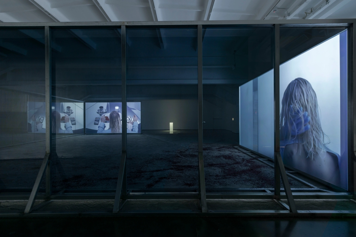 Spit and Image, installation view, MACA, 2025. Photo: Yang Hao