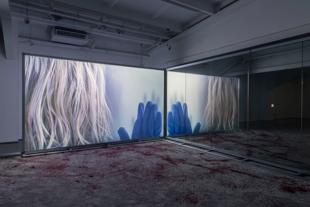 Spit and Image 2, installation view, MACA, 2025. Photo: Yang Hao