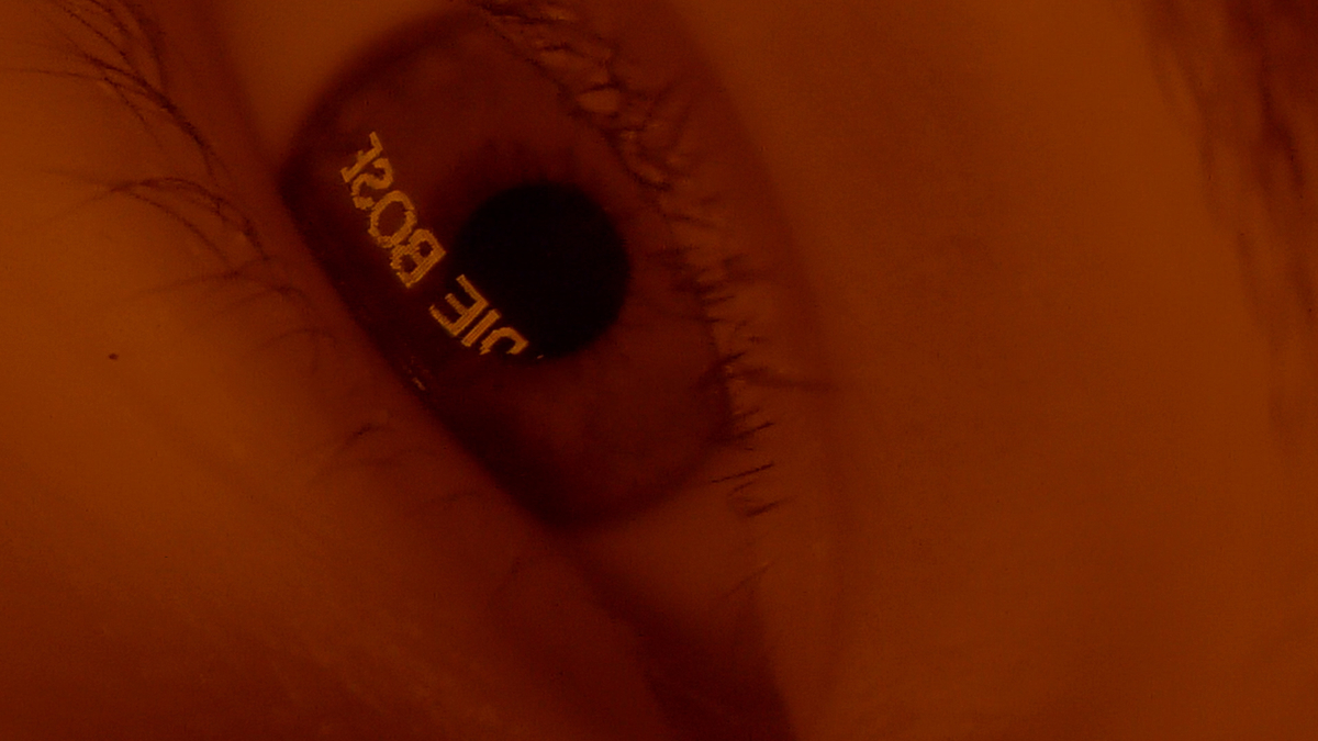 DOROTA GAWĘDA AND EGLĖ KULBOKAITĖ

MOUTHLESS PART I, 2020. [video still]