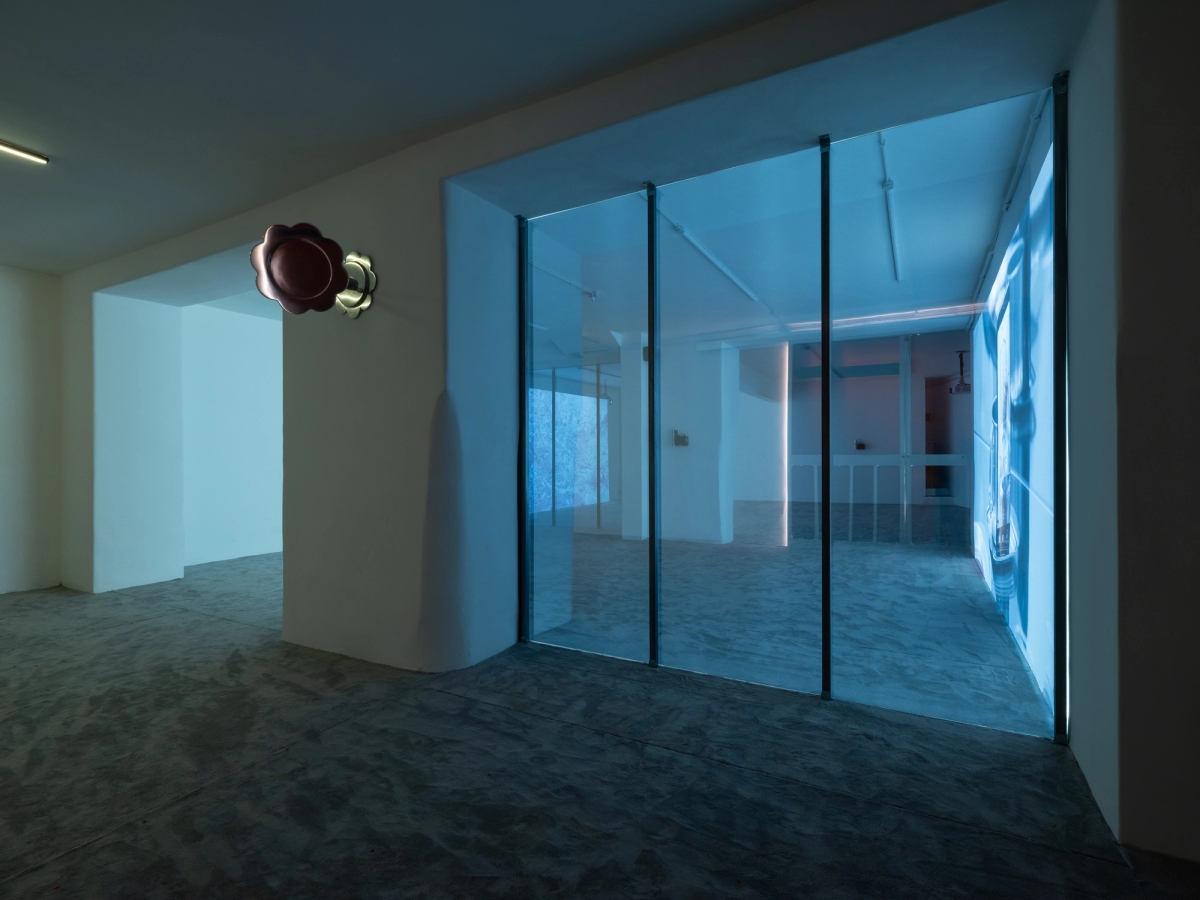 SPIT AND IMAGE, solo exhibition