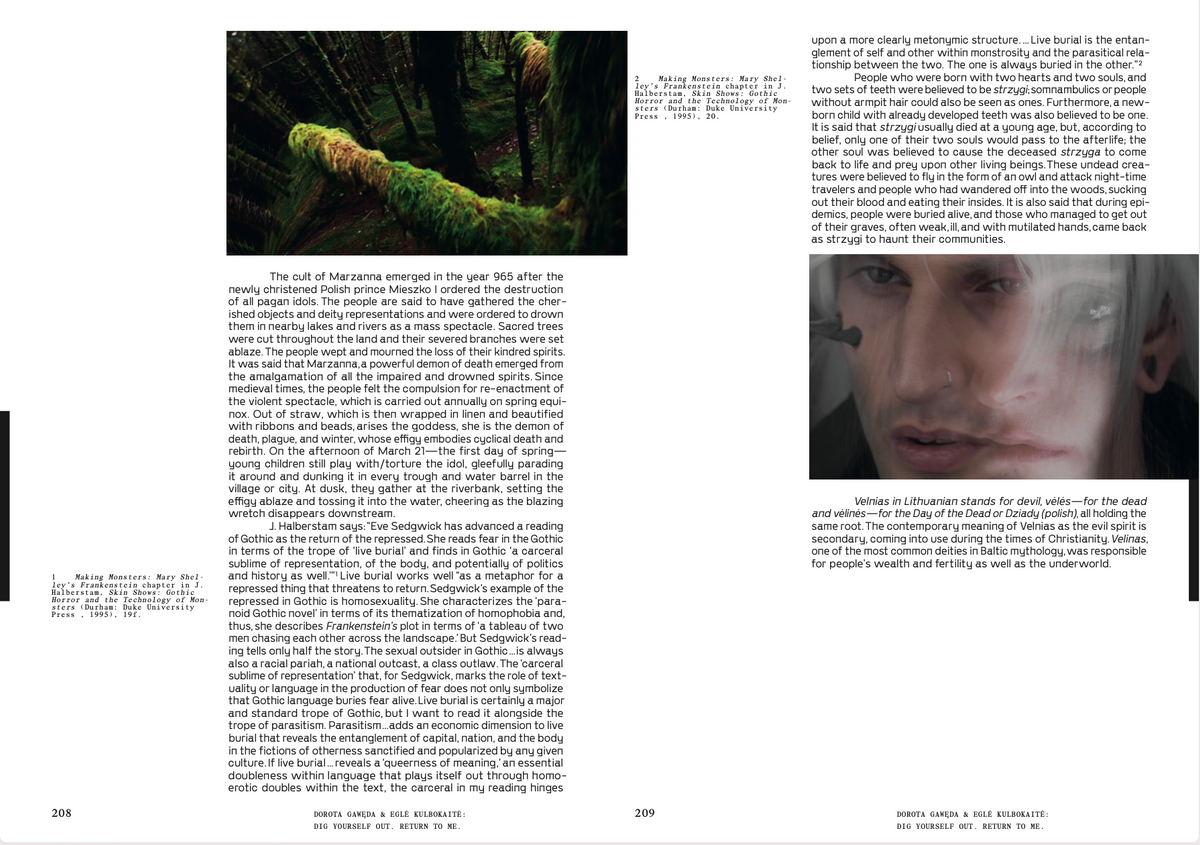 Wicked Little Town Edited by Fanny Hauser and Viktor Neumann, Archive Books, 2021