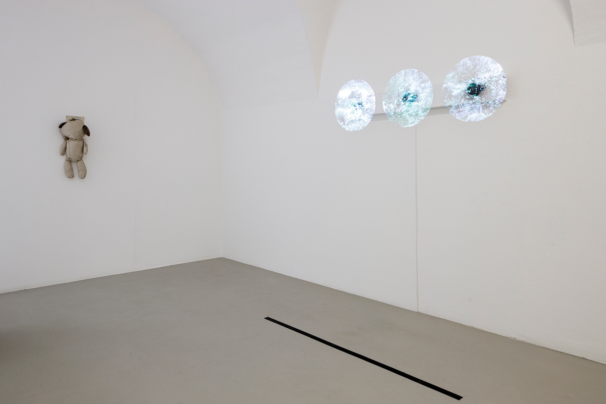The Lying Body: Only the Futures Revisit the Past exhibition view.