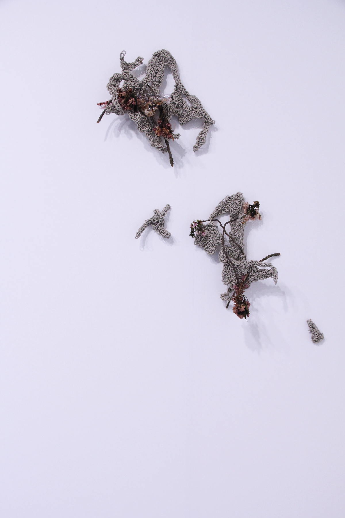  touching Ai I and II, 2016

 CROCHET CABLE, DRIED CHERRY BLOSSOM FLOWERS (dimension variable)