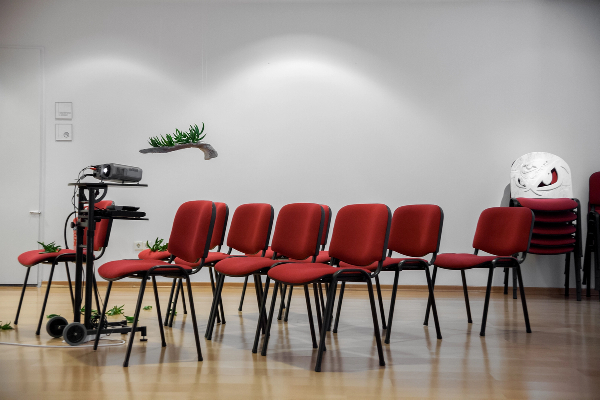 Time Flies Like an Arrow, Fruit Flies Like a Banana [exhibition view]