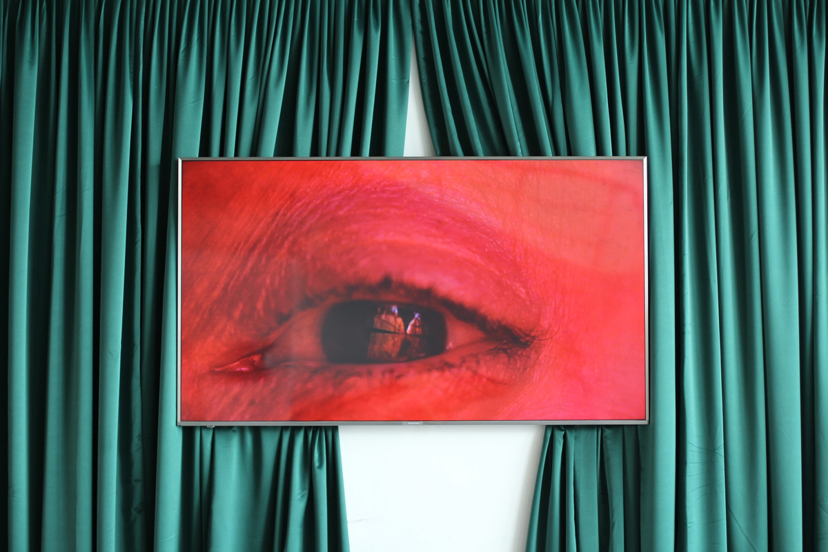 Still life of a thistle between carnations and cornflowers on a mossy forest floor, 2020

4K video and sound. 3: 33.