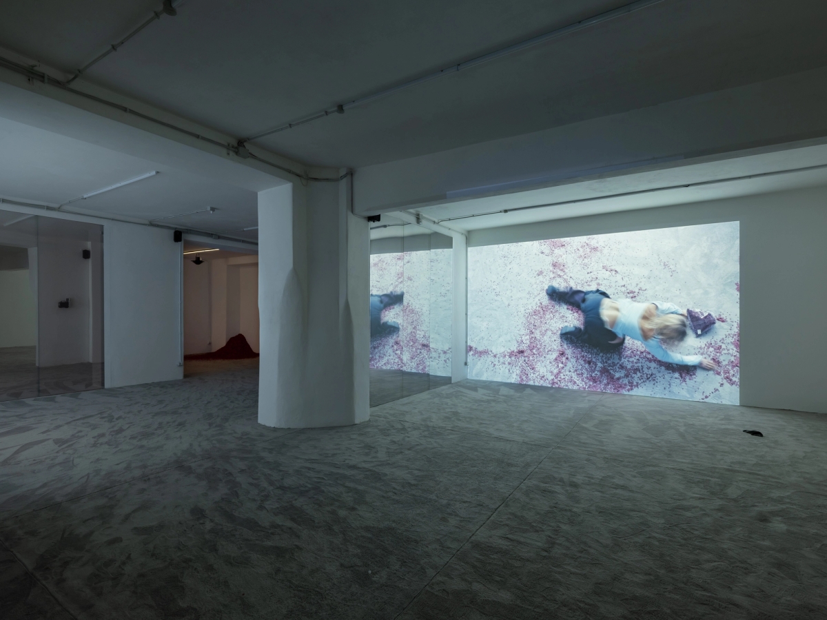 SPIT AND IMAGE, solo exhibition