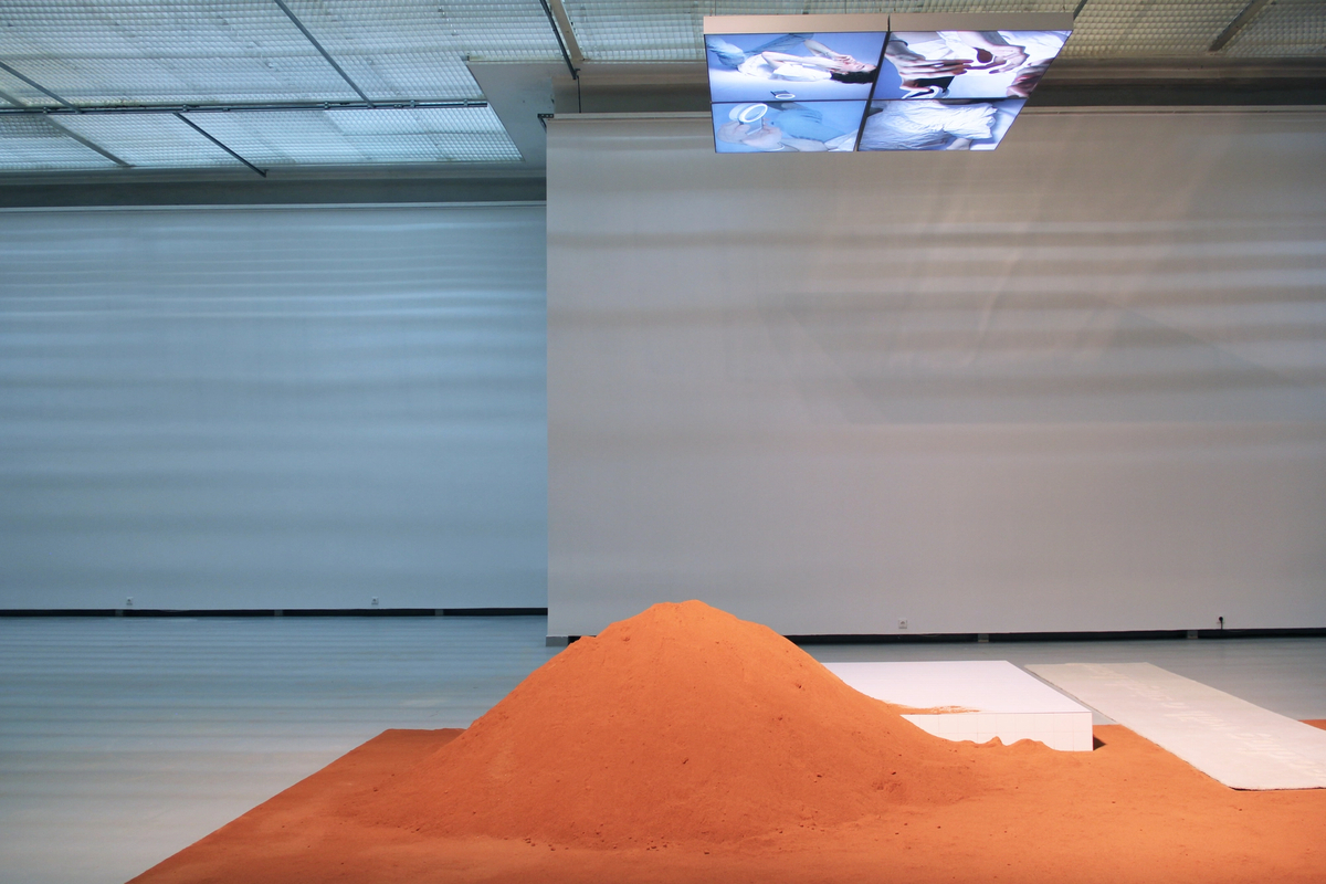 YGRG 14X: reading with a single hand, 2017 [installation view]