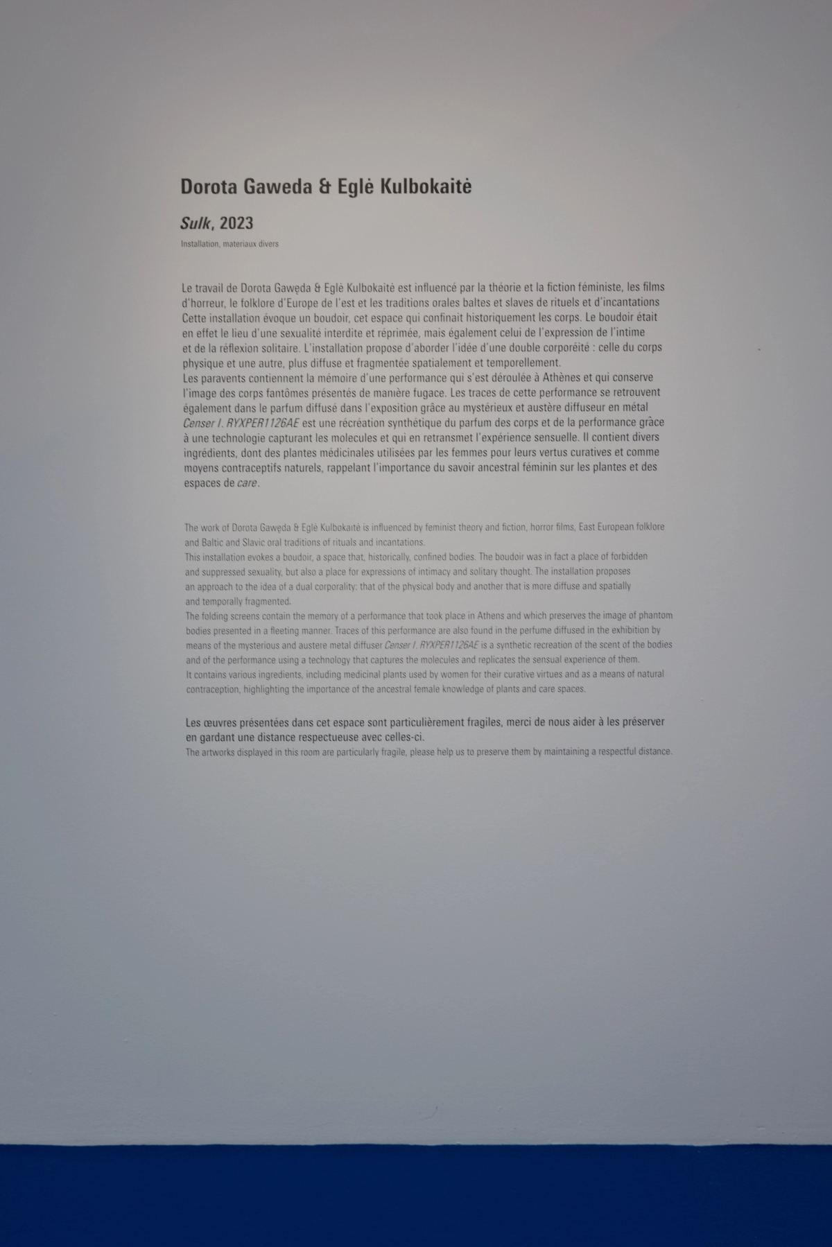 Dorota Gaweda & Egle Kulbokaite, SULK, Festival Move, Centre Pompidou, (c) Herve Veronese