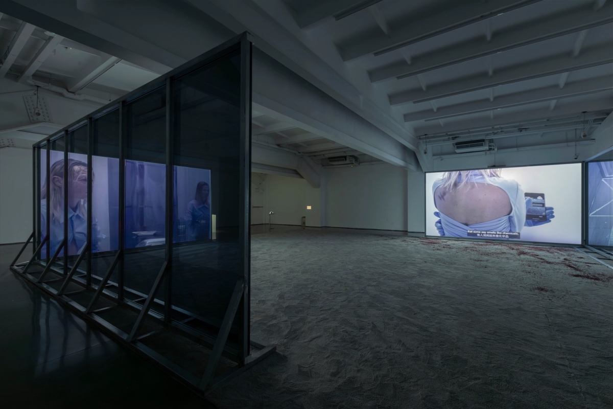 Spit and Image, installation view, MACA, 2025. Photo: Yang Hao